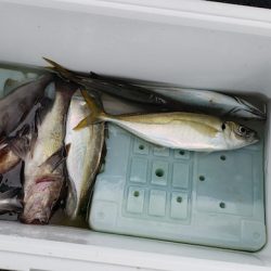 海龍丸（石川） 釣果