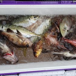 海龍丸（石川） 釣果