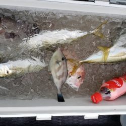 海龍丸（石川） 釣果