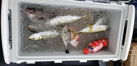 海龍丸（石川） 釣果