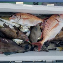 海龍丸（石川） 釣果