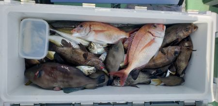 海龍丸（石川） 釣果