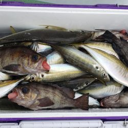 海龍丸（石川） 釣果