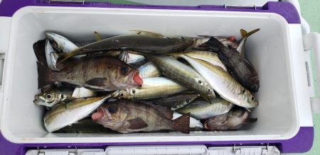 海龍丸（石川） 釣果