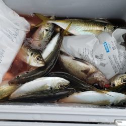 海龍丸（石川） 釣果