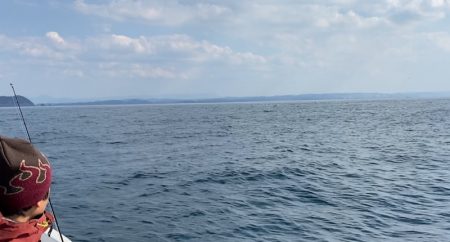 「LaGooN」蒼陽丸 日和号 釣果