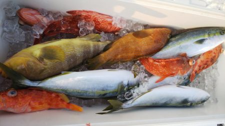 第二龍勢丸 釣果