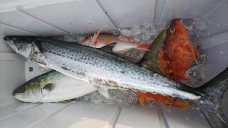 第二龍勢丸 釣果