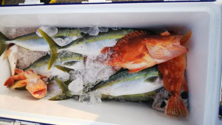 第二龍勢丸 釣果