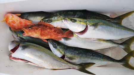 第二龍勢丸 釣果