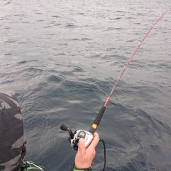 海皇丸 釣果