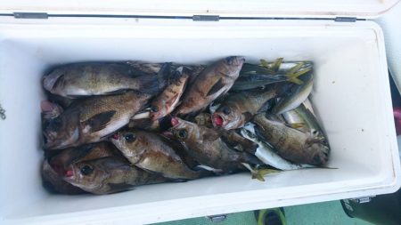 海龍丸（石川） 釣果