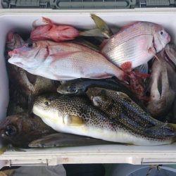 海龍丸（石川） 釣果