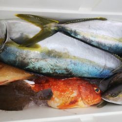 第二龍勢丸 釣果