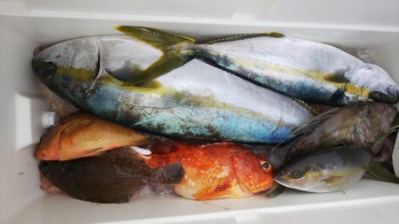 第二龍勢丸 釣果