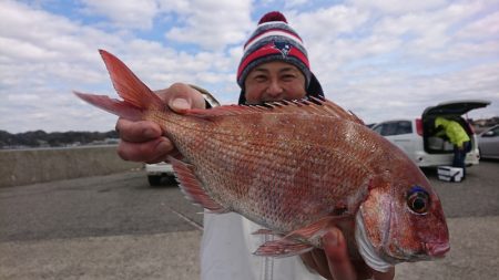 第三共栄丸 釣果