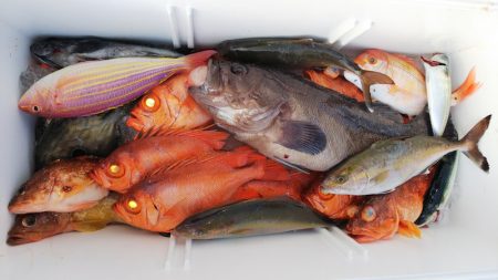 第二龍勢丸 釣果