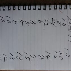 金沢八景鴨下丸 釣果