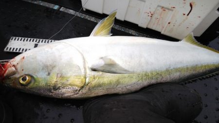 第二龍勢丸 釣果