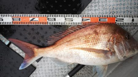 第二龍勢丸 釣果