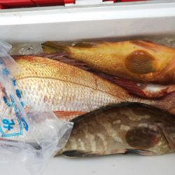 第二龍勢丸 釣果