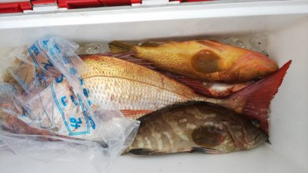 第二龍勢丸 釣果