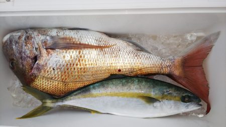 第二龍勢丸 釣果