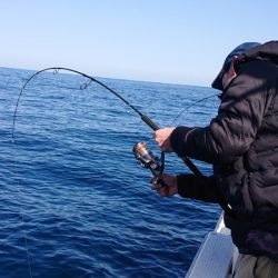 海皇丸 釣果
