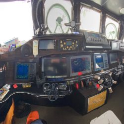 シーランチ 釣果