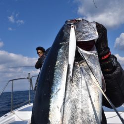 渡船屋たにぐち 釣果