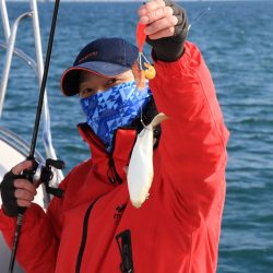 浜栄丸 釣果