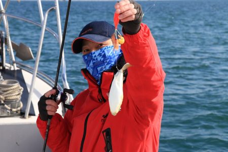 浜栄丸 釣果