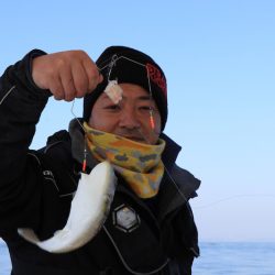 浜栄丸 釣果