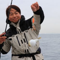 浜栄丸 釣果