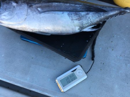 渡船屋たにぐち 釣果