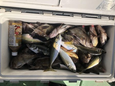 海龍丸（石川） 釣果