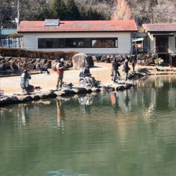 白州トラウトフィッシングエリア　シルフ 釣果