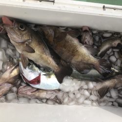 海龍丸（石川） 釣果