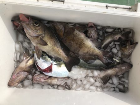 海龍丸（石川） 釣果