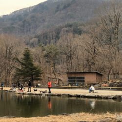 白州トラウトフィッシングエリア シルフ 釣果