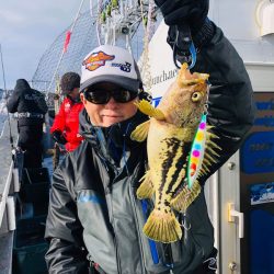 シーランチ 釣果