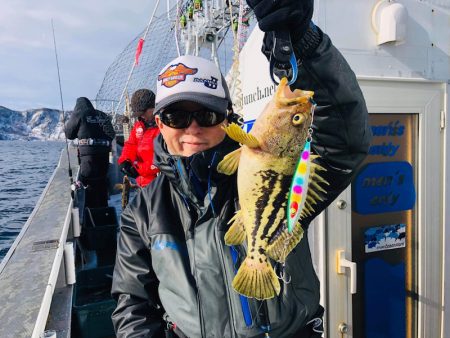 シーランチ 釣果