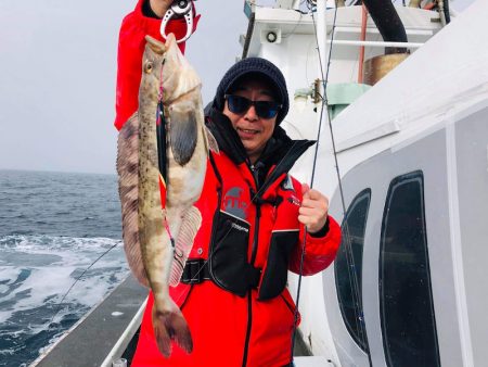 シーランチ 釣果