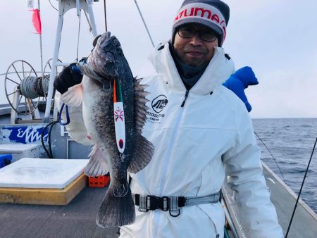 シーランチ 釣果