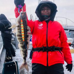 シーランチ 釣果