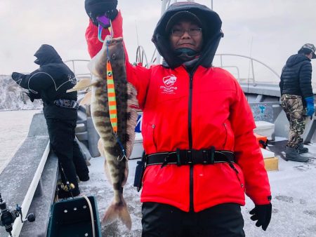 シーランチ 釣果