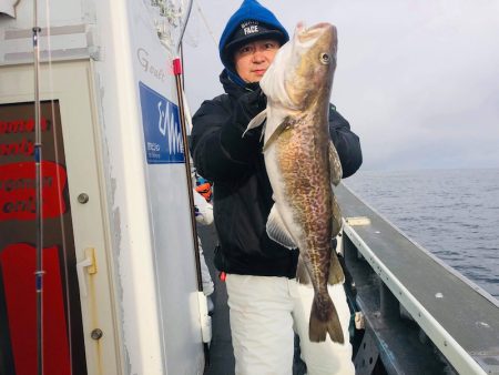 シーランチ 釣果