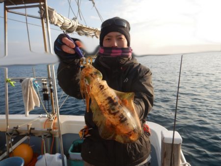 きずなまりん 釣果