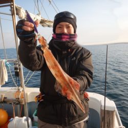 きずなまりん 釣果