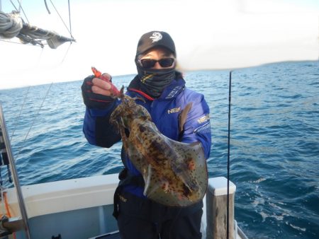 きずなまりん 釣果